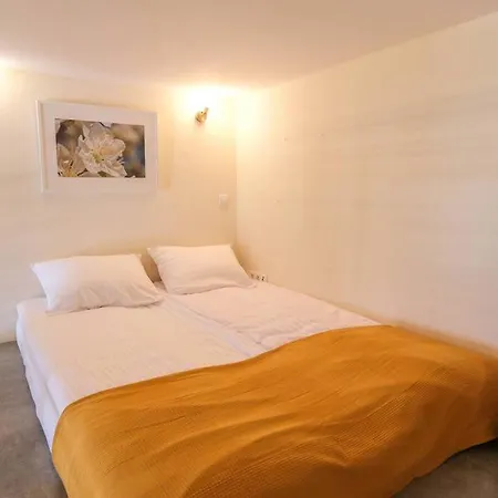 Big Cozy Free 1 Parking *