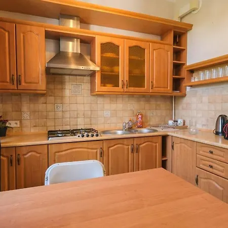 Big Cozy Free 1 Parking Apartment *